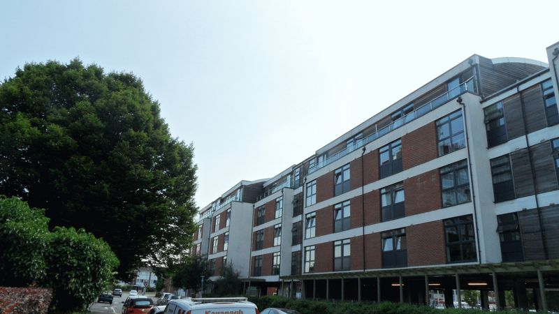 Main Image